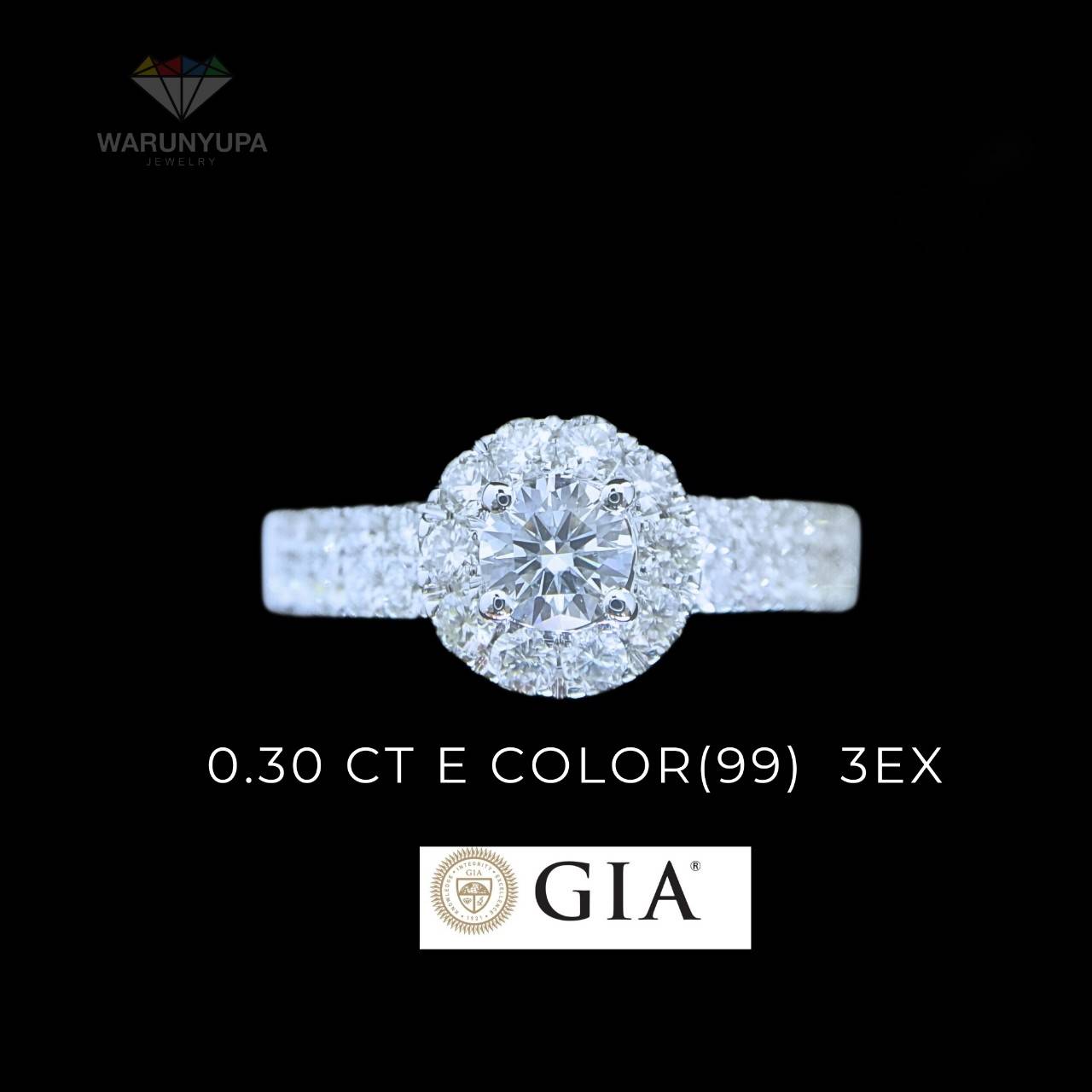 R30GIA