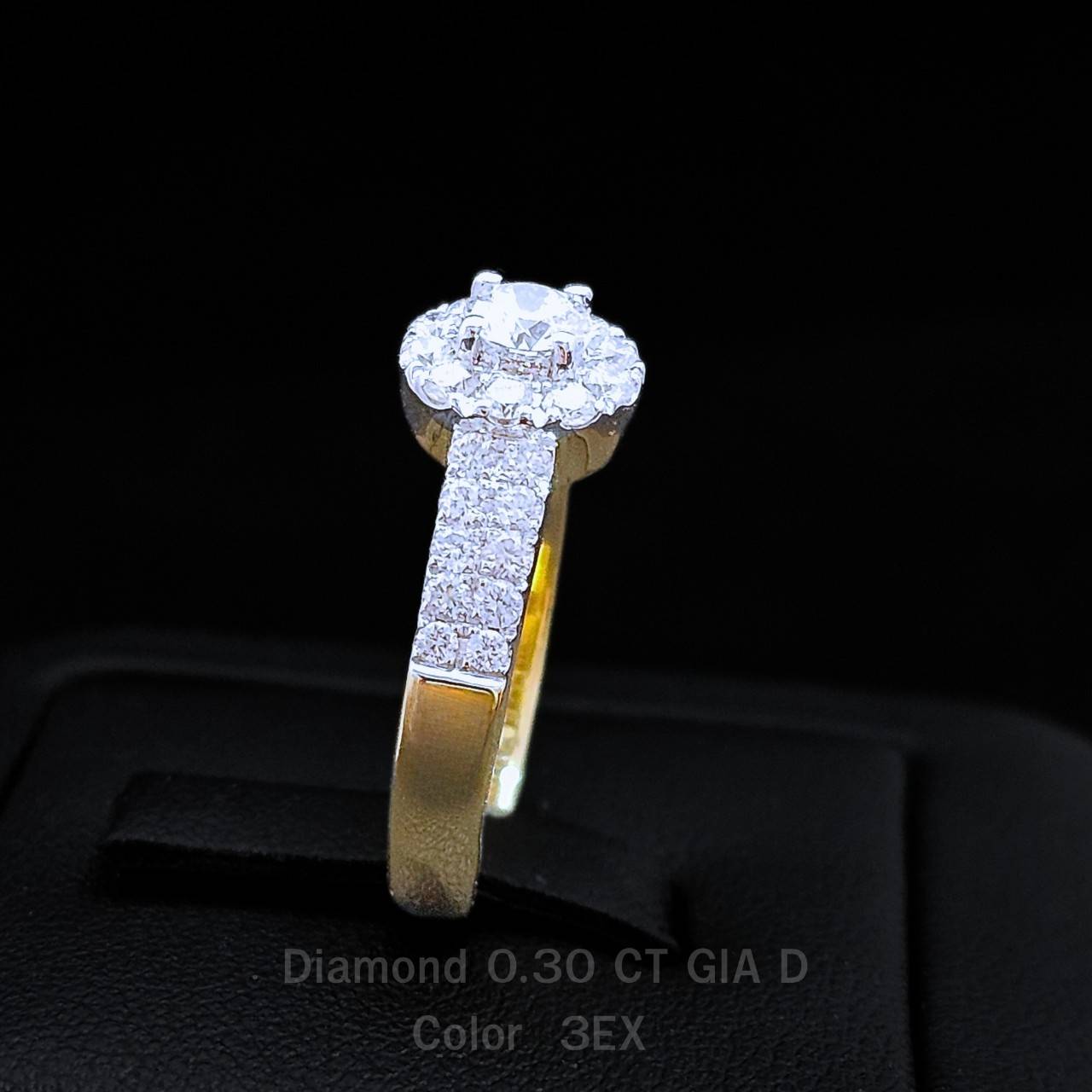 R30GIA1