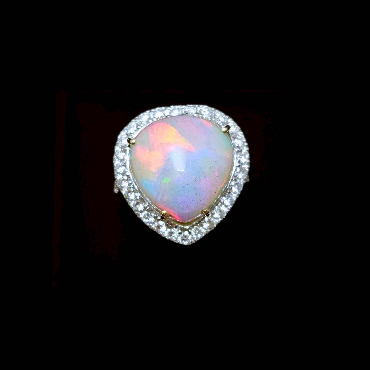 R18Opal